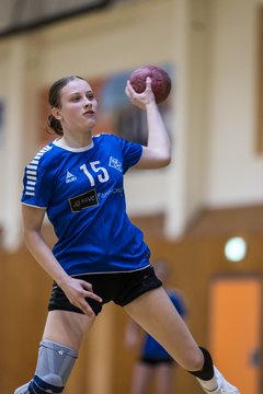 Bild 211 - wBJ TSV Ellerau - HSG Stoertal Hummeln : Ergebnis: 26:19